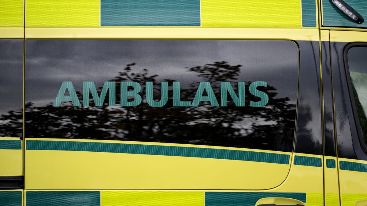 Man Dies After Tree Accident Near Jönköping