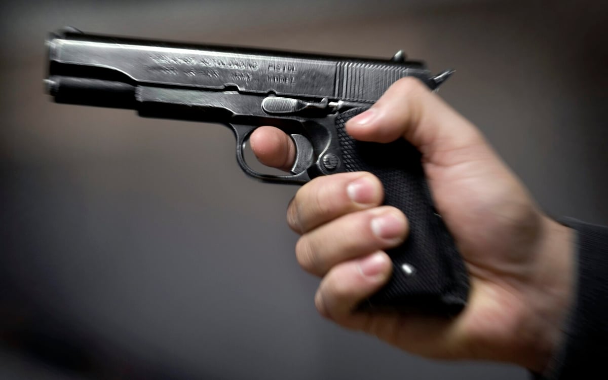 Manager at Swedish Air Wing Investigated for Weapons Offenses