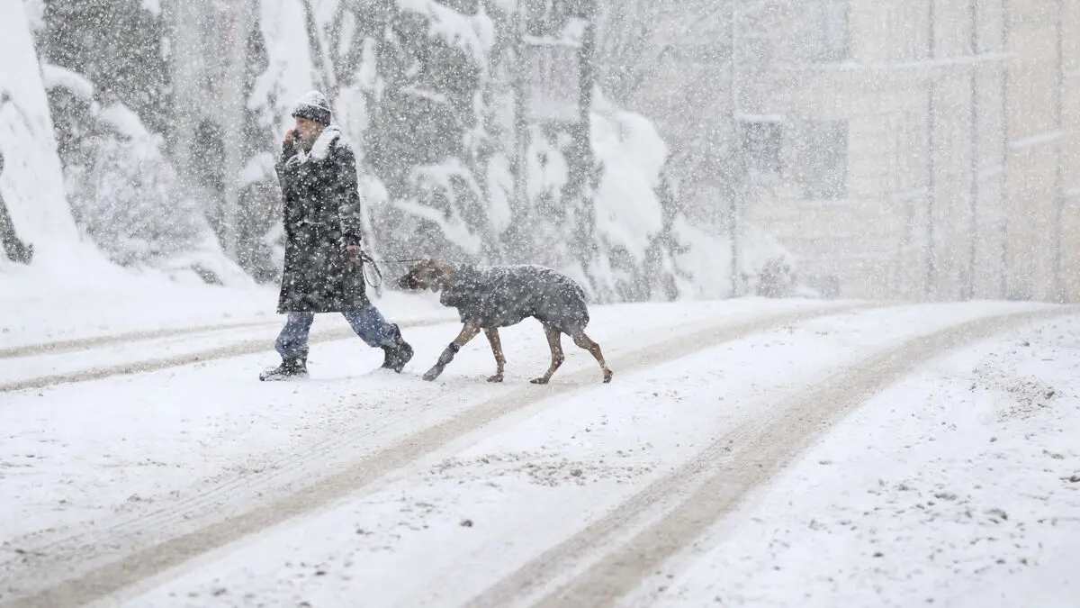 Several accidents in the snowstorm