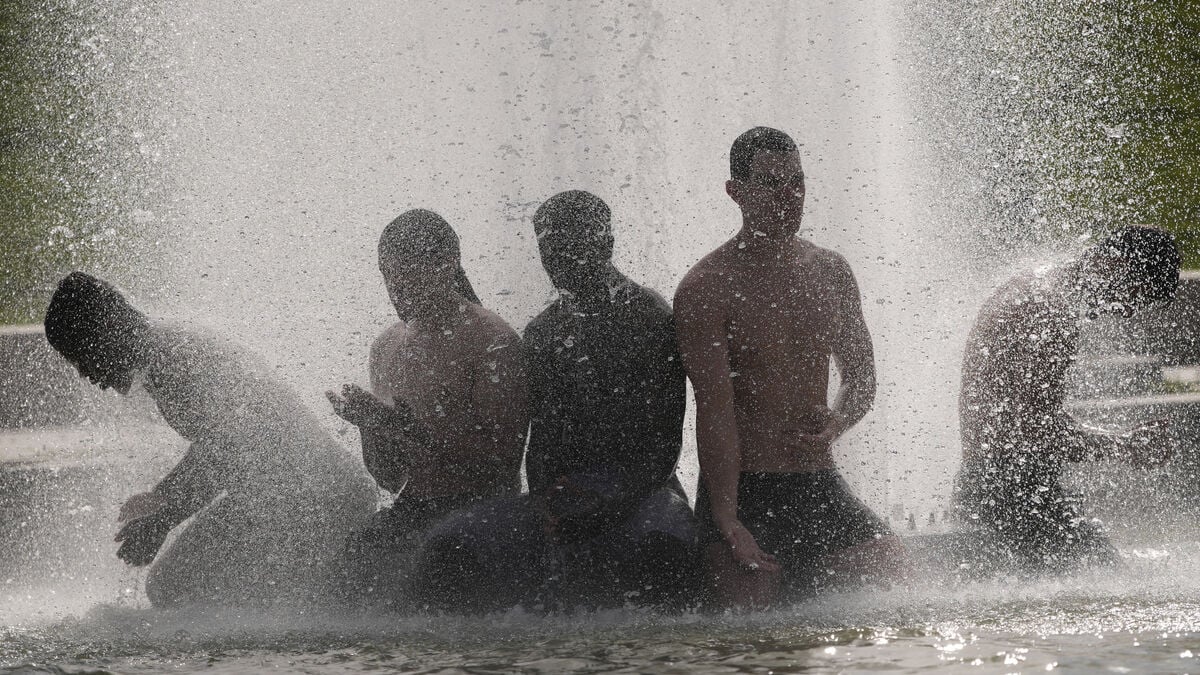 Tormented Parisians seek cooling with rooftop plants