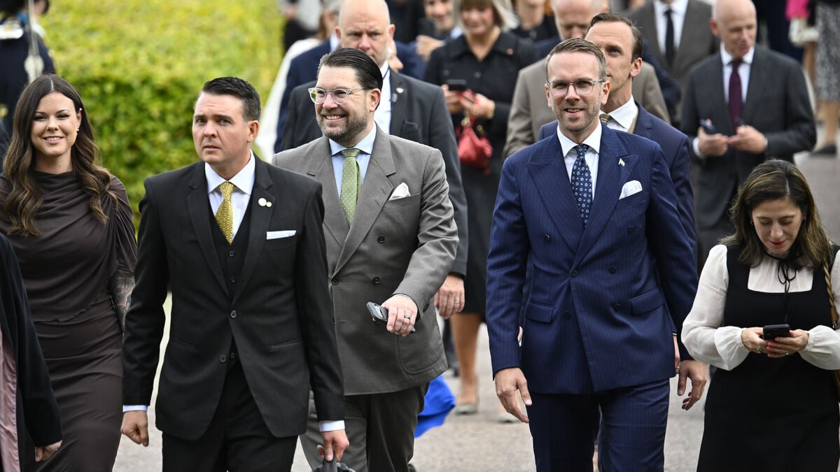 Åkesson wants Speaker to put Andersson to a vote in the Riksdag