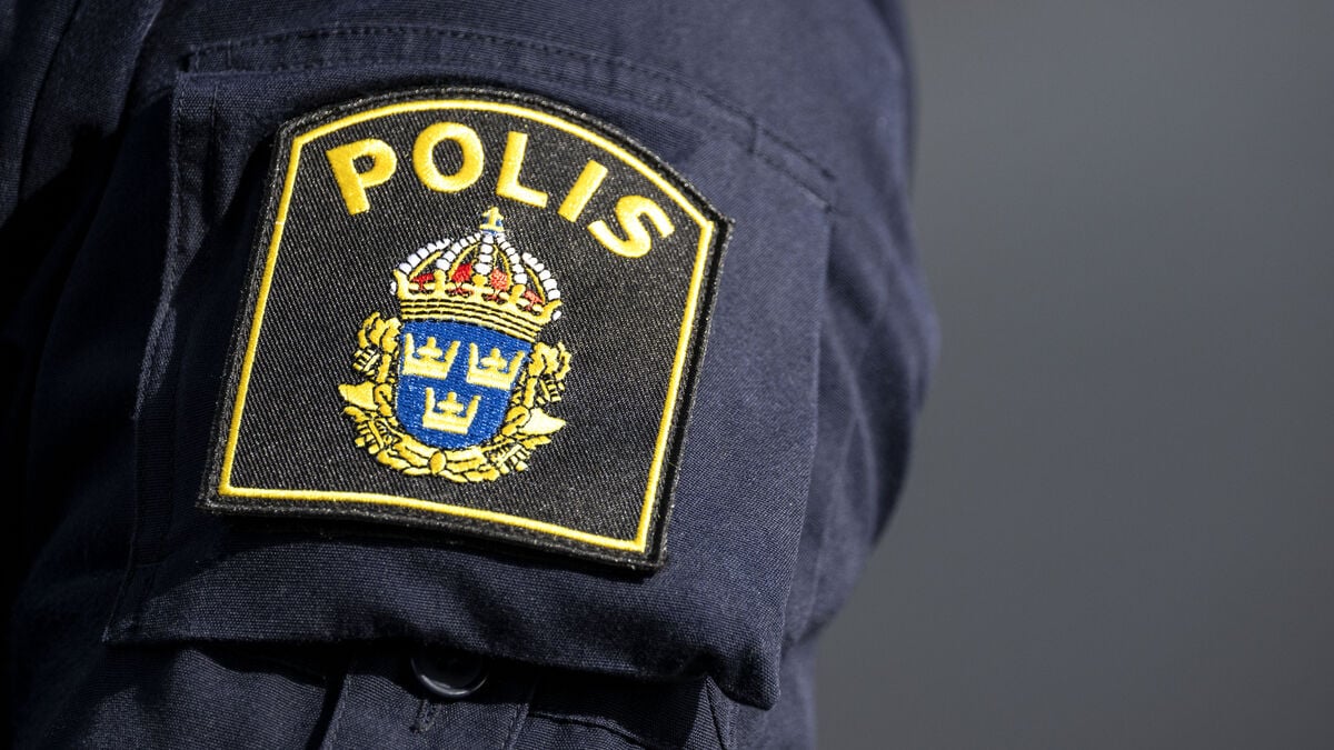 Police classify hooligans in Region West as criminal networks