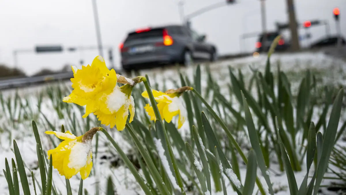 Rain and snow - this is the weather for Easter