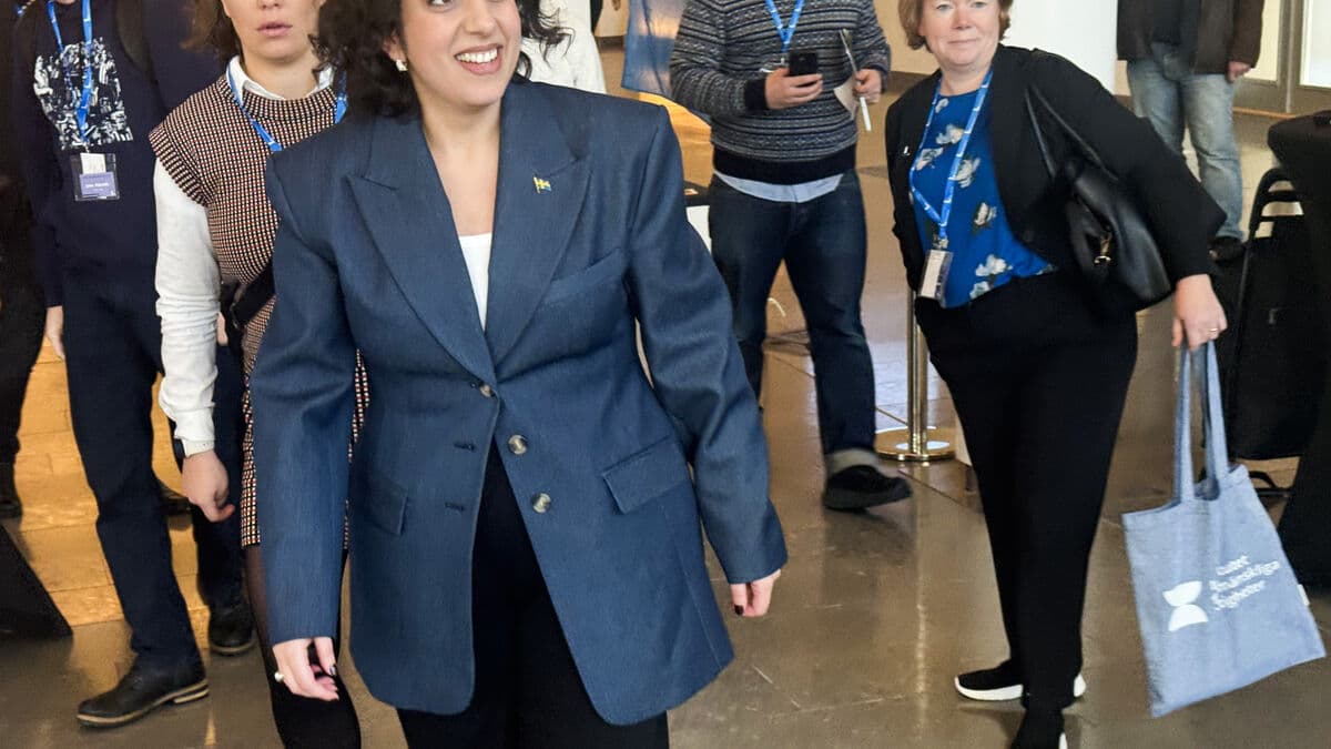 L says no to allowing SD into government