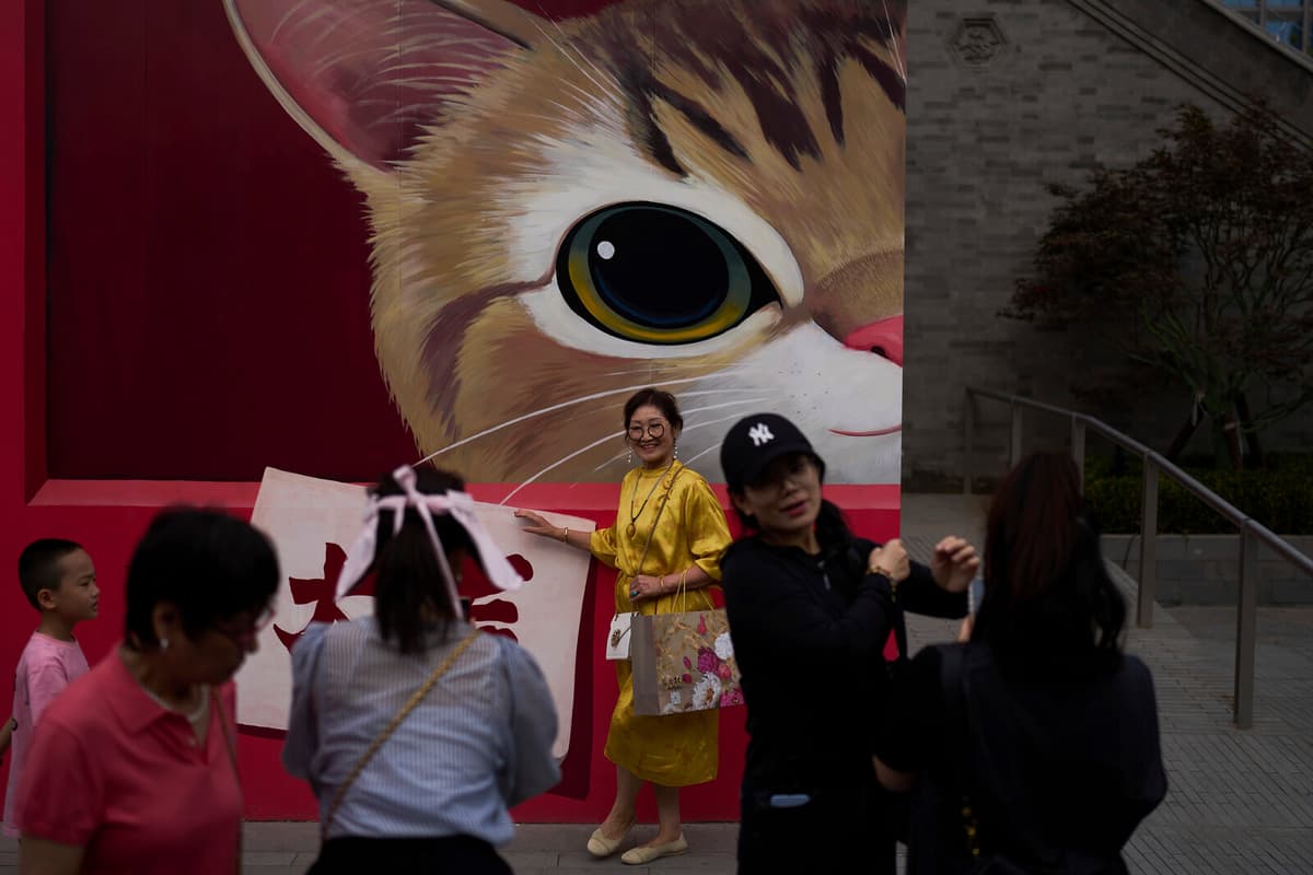 China's GDP Growth Surpasses Expectations Despite US Tariffs