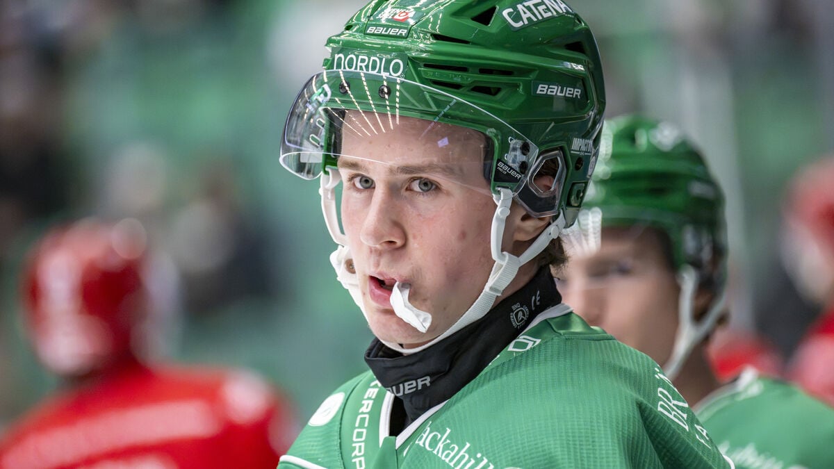Rögle’s Tinus Luc Koblar accuses HV71’s Nikola Pasic of insulting his mother after heated SHL game