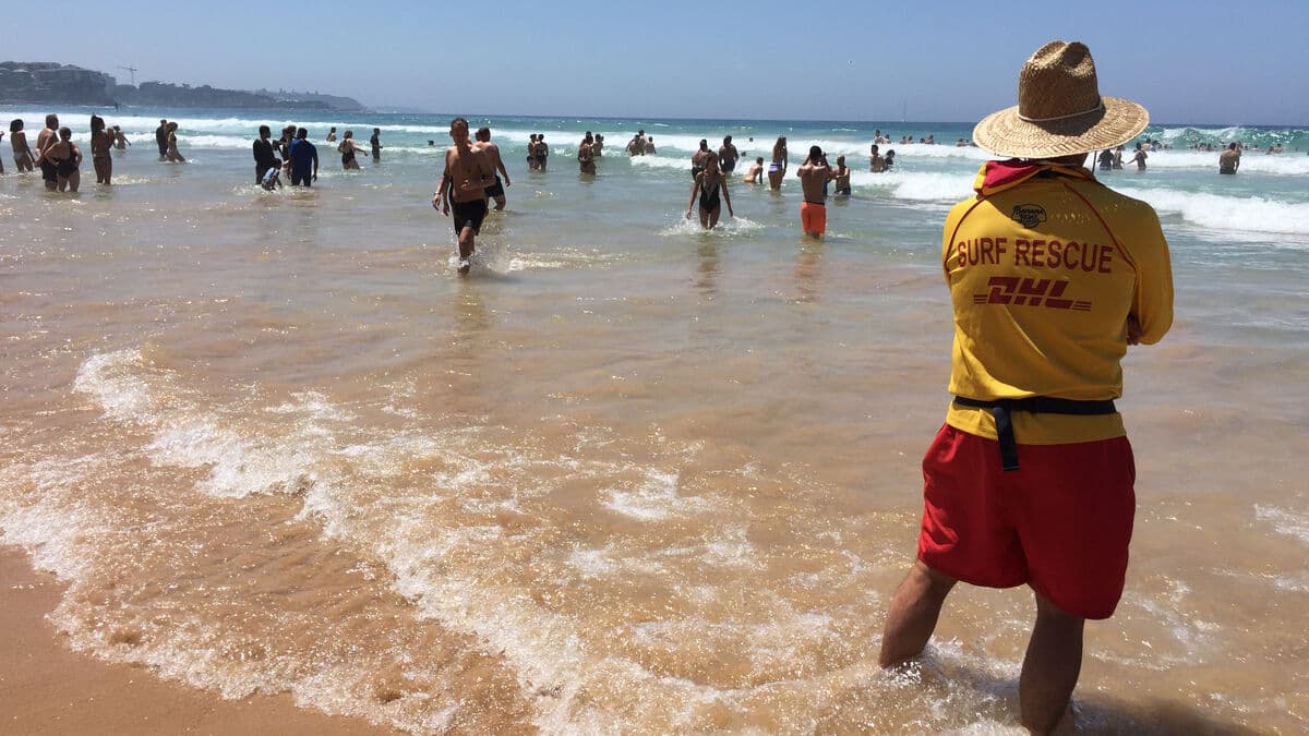 Three shark attacks in one day in Sydney waters