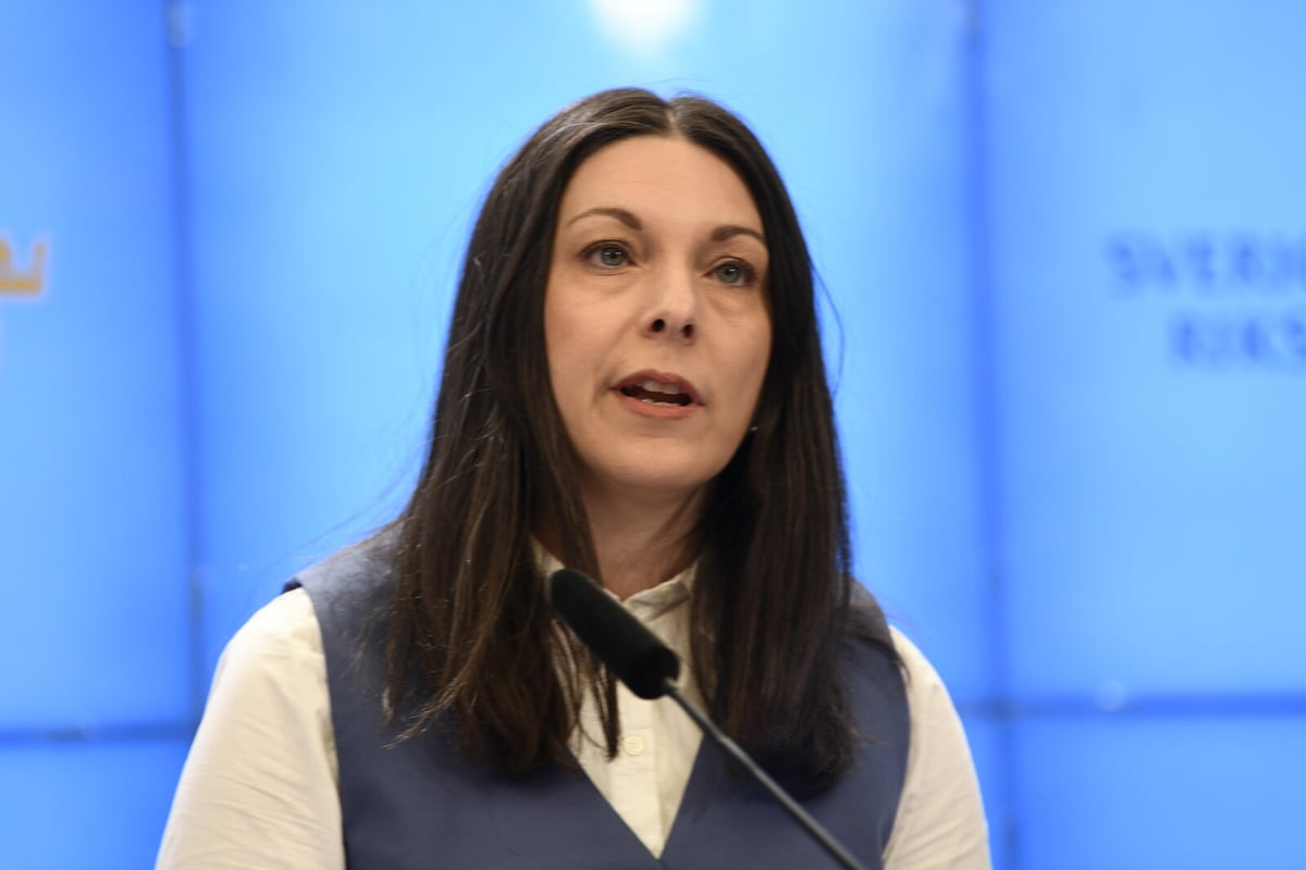 Social Democrats Criticize Government's Efforts on Gang Violence