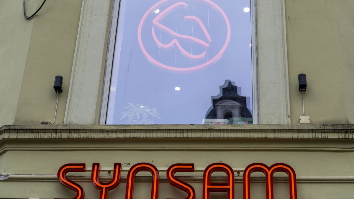 Synsam increases profits