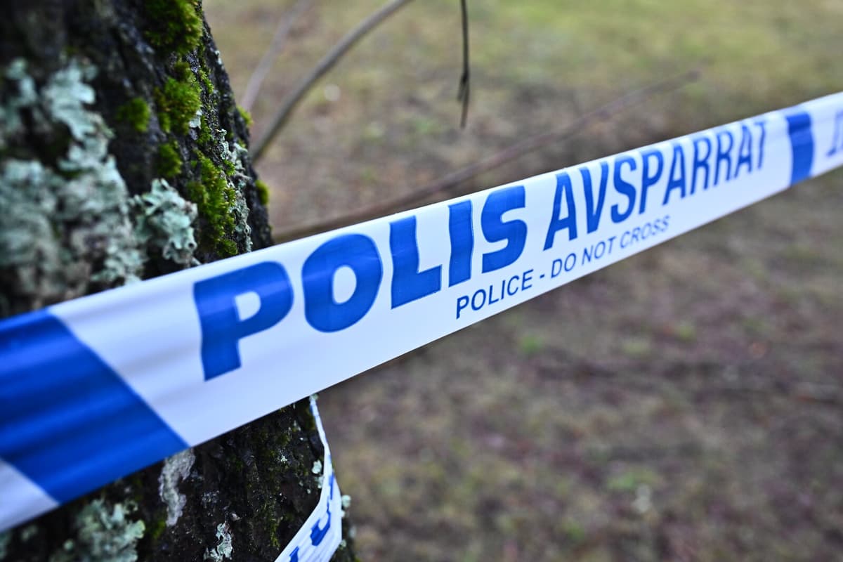 Three-Year-Old Girl Found Dead in Pond in Höganäs