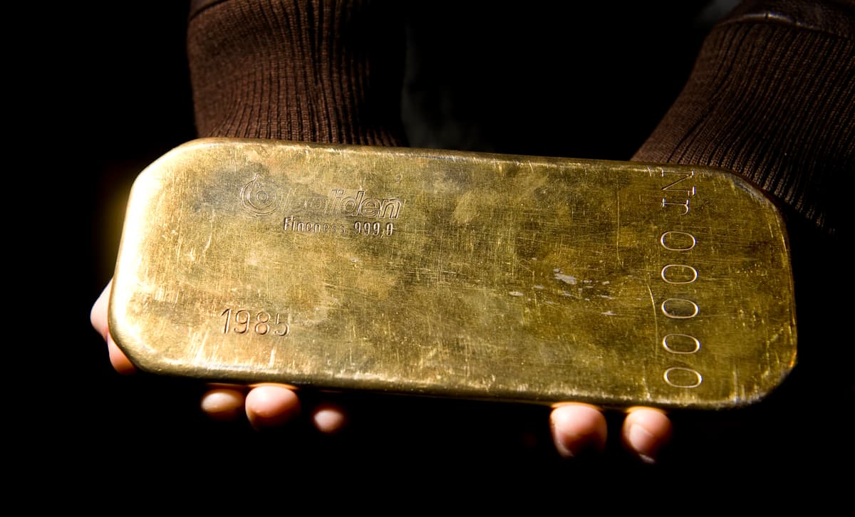 Gold Valued at Millions Stolen from Paris Natural History Museum