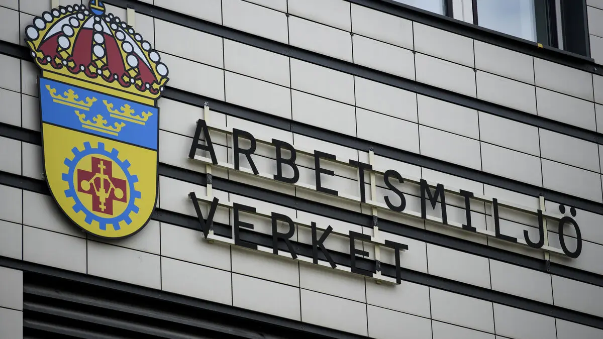 Student assistants particularly vulnerable to violence at school