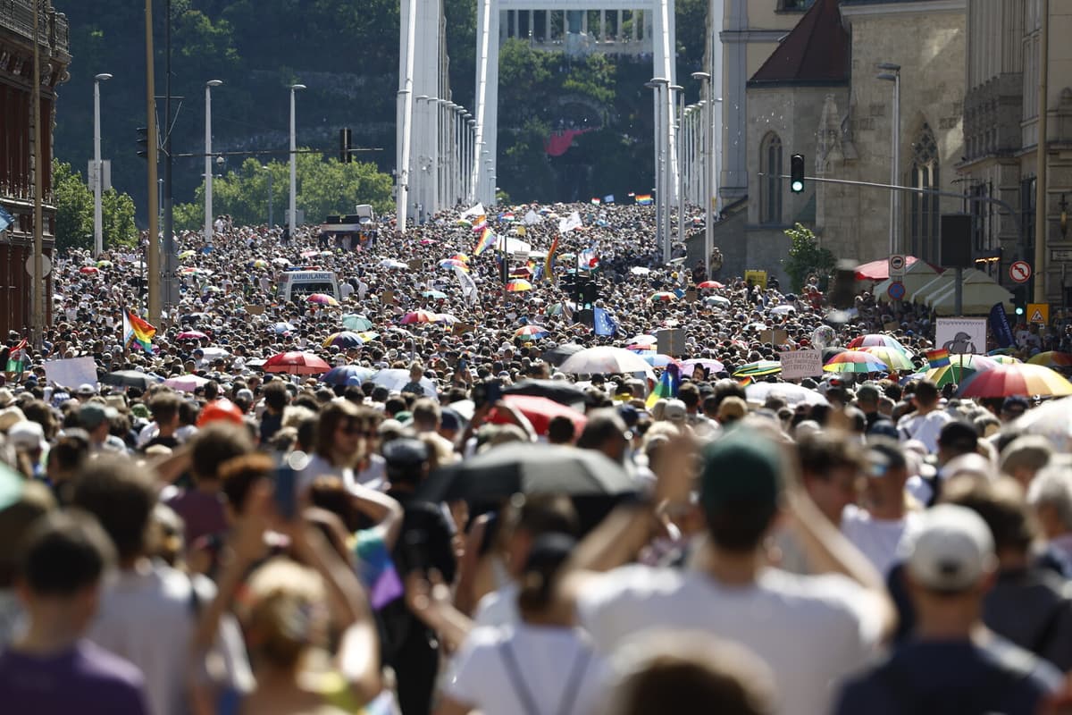 Record Crowd Defies Hungary's Pride Ban in Budapest Parade