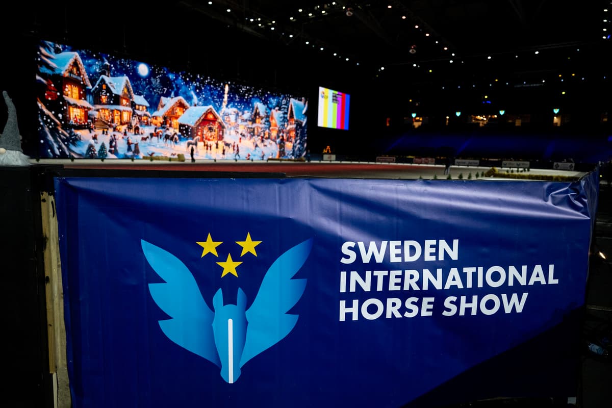 Guide to Sweden's International Horse Show