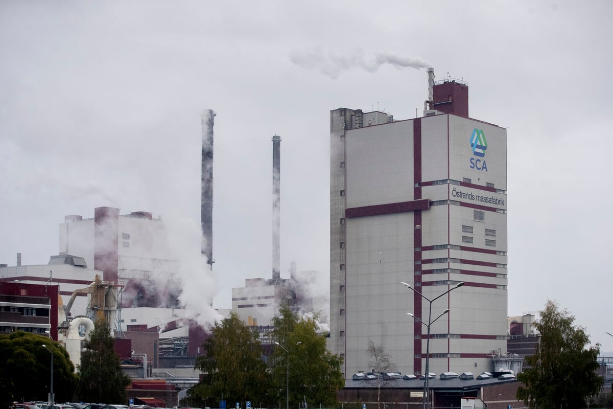 SCA Reports Stable Q1 Profit and Revenue Growth