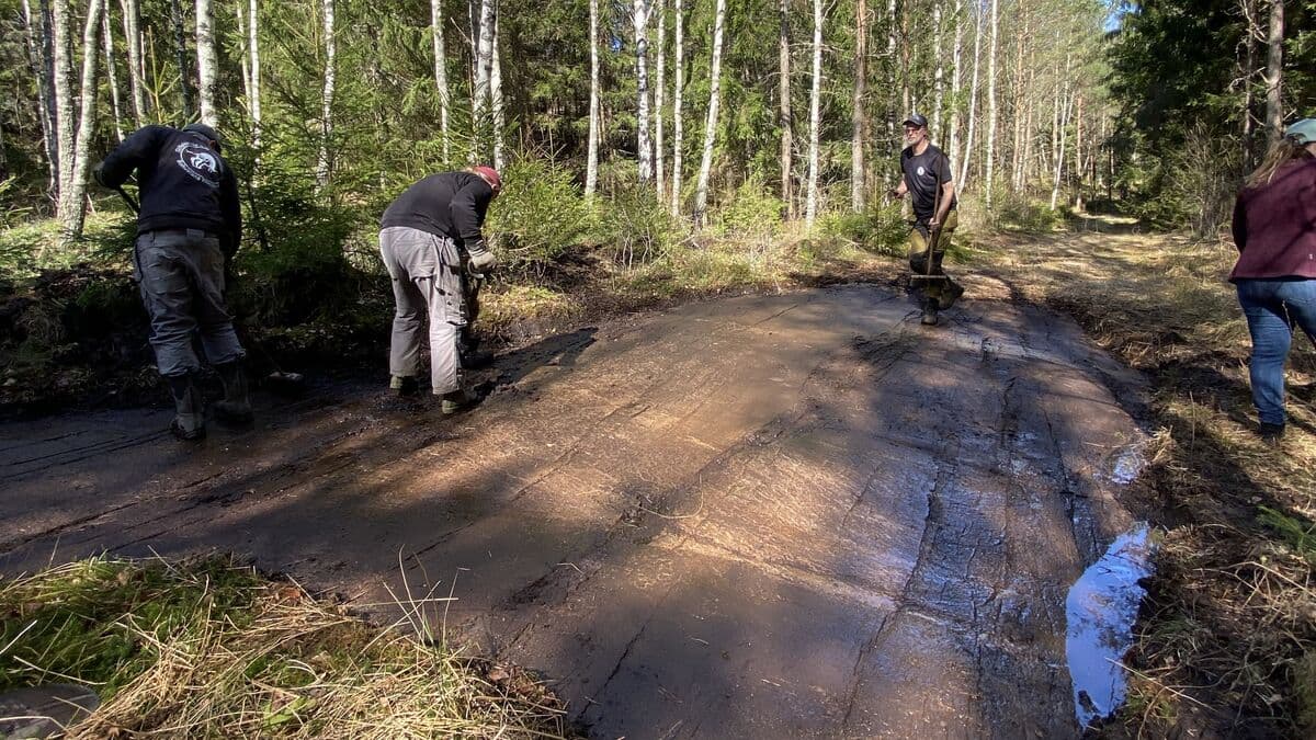 Rock carving found in Tanum, but to be reburied