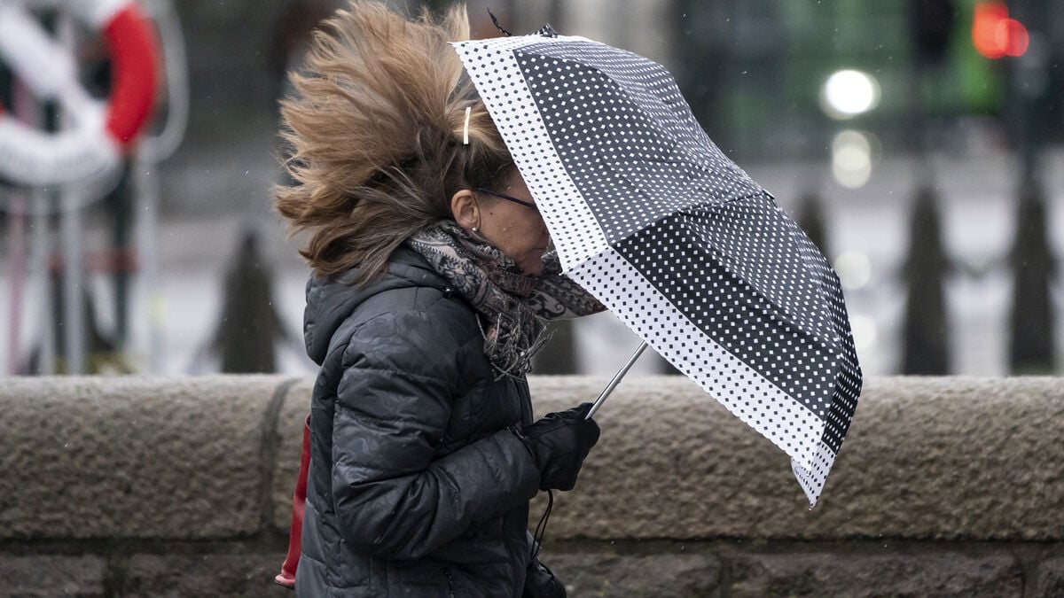 SMHI warns of storm-force gusts in eastern Svealand and Gävleborg after heavy rain