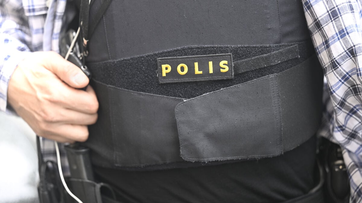 Swedish police ordered to set national rules on protective equipment or face fine