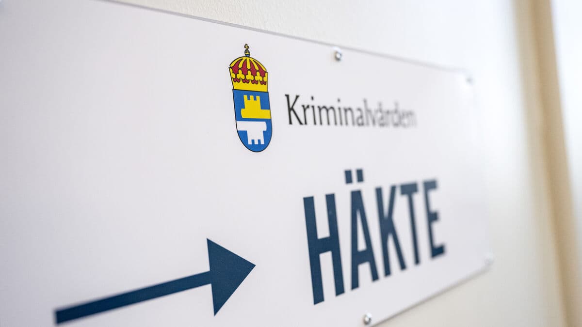 Unusual investigation into child rape in Skåne continues