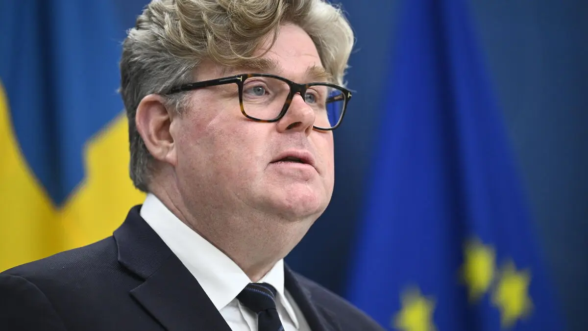 SD member Katja Nyberg removed from transparency council amid suspicions of drunk driving