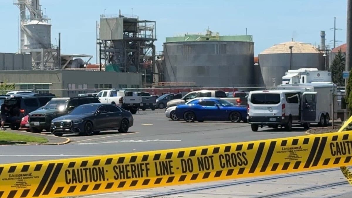 Eleven dead in paper mill accident in Longview, Washington