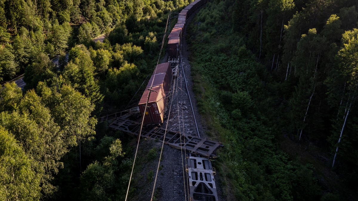Train services between Gothenburg and Borås resume after three-week closure