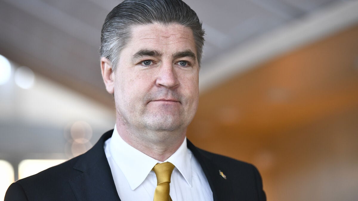 Sweden Democrats reshuffle committee roles, moving Oscar Sjöstedt to Constitutional Committee