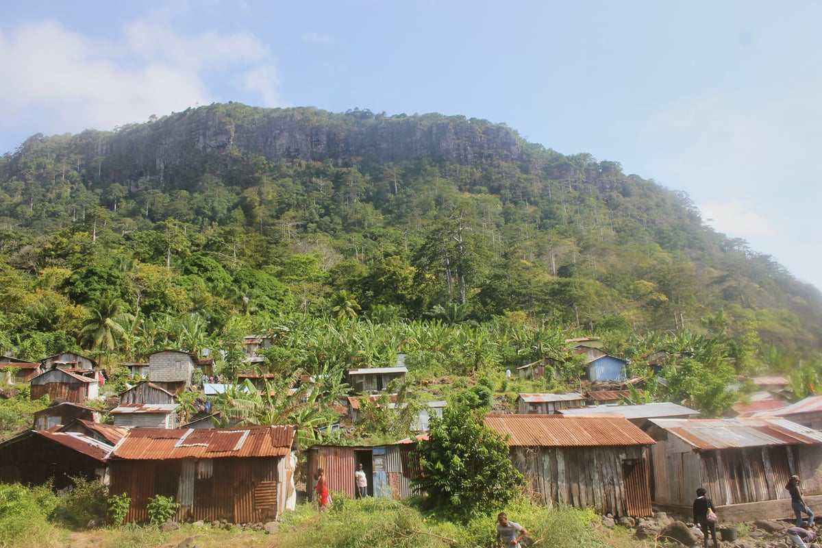 Island Residents in Equatorial Guinea Face Year-Long Internet Shutdown