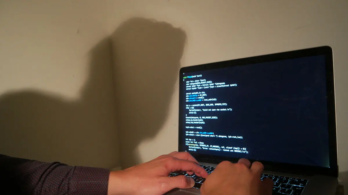 Vilhelmina and Dorotea municipalities hit by IT attack