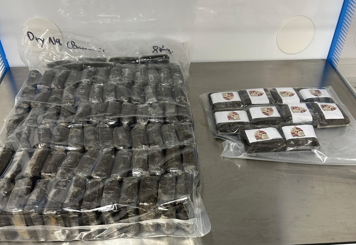 Customs Agency Reports Surge in Dangerous Synthetic Cannabis