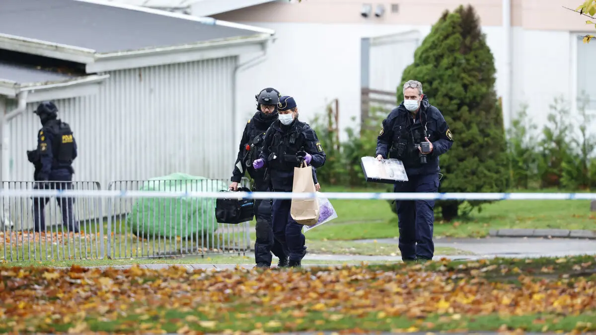 Two Live Hand Grenades Found