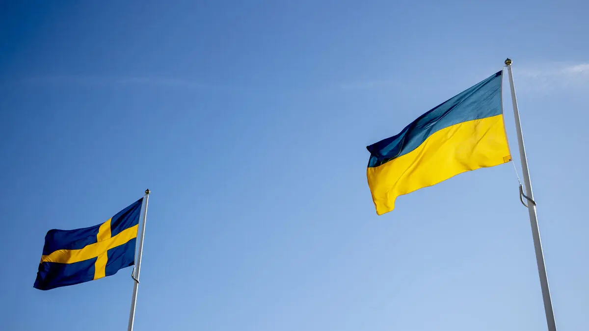 Swedish volunteer injured in drone attack in central Ukraine