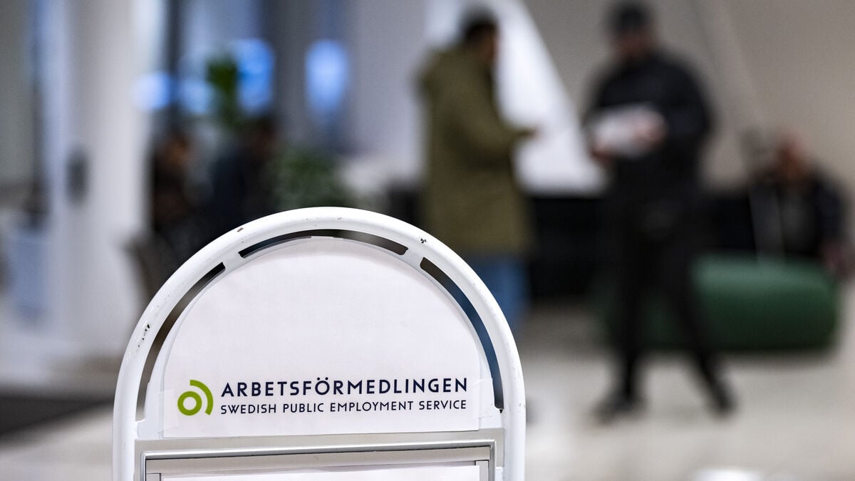 Swedish Job Coaches Help Men Control Their Wives, SVT Investigation Finds
