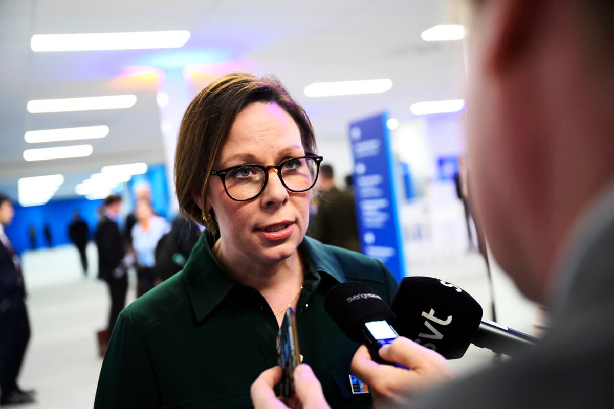 Swedish Foreign Minister Urges Iran to Release Researcher Djalali