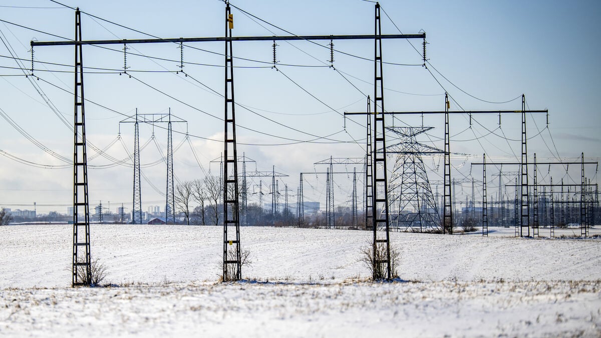 Mild and windy weather indicates a stable winter