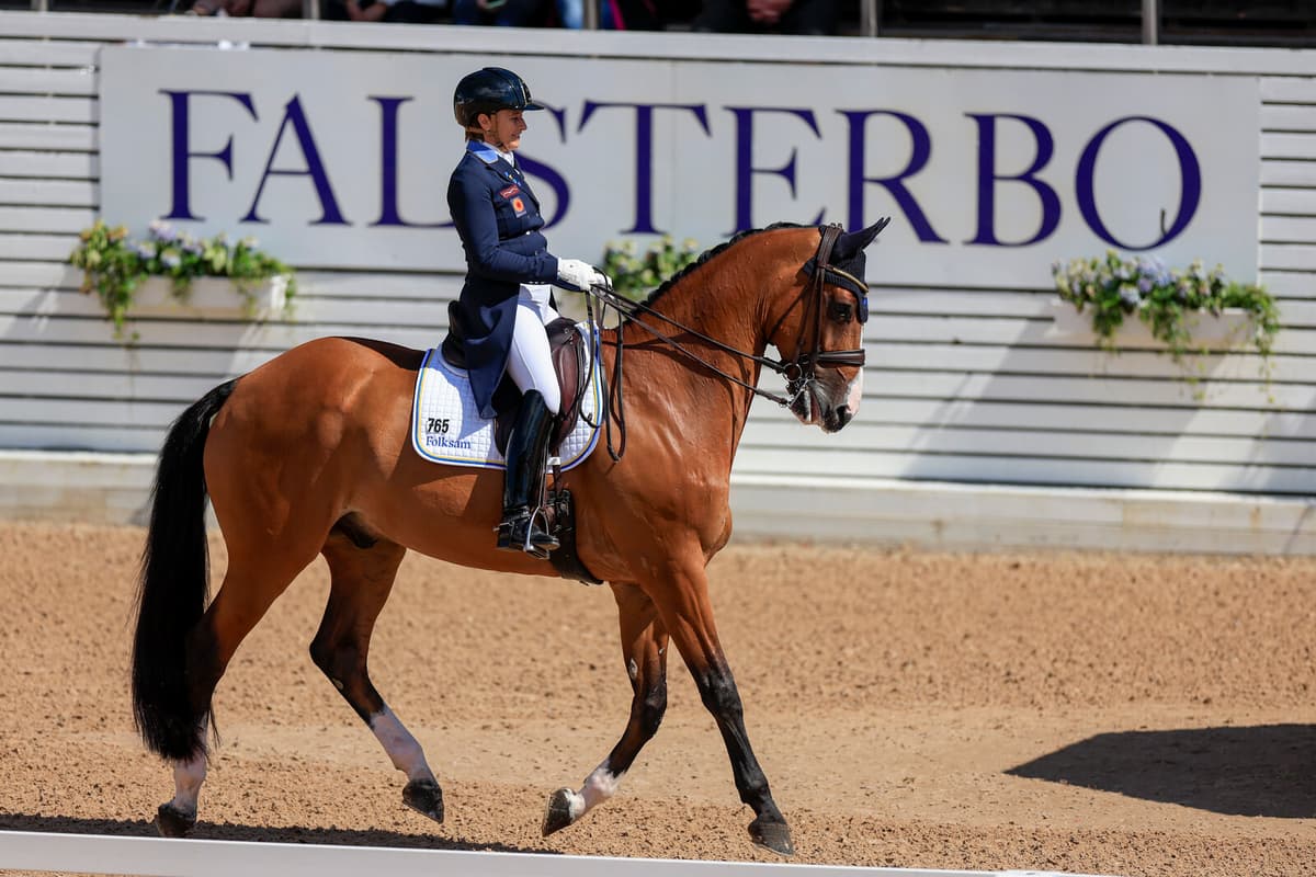 Falsterbo Horse Show Ends Al Shira'aa Partnership After Threats