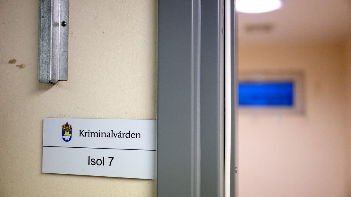 Sweden lowers age of criminal responsibility to 14 for serious crimes