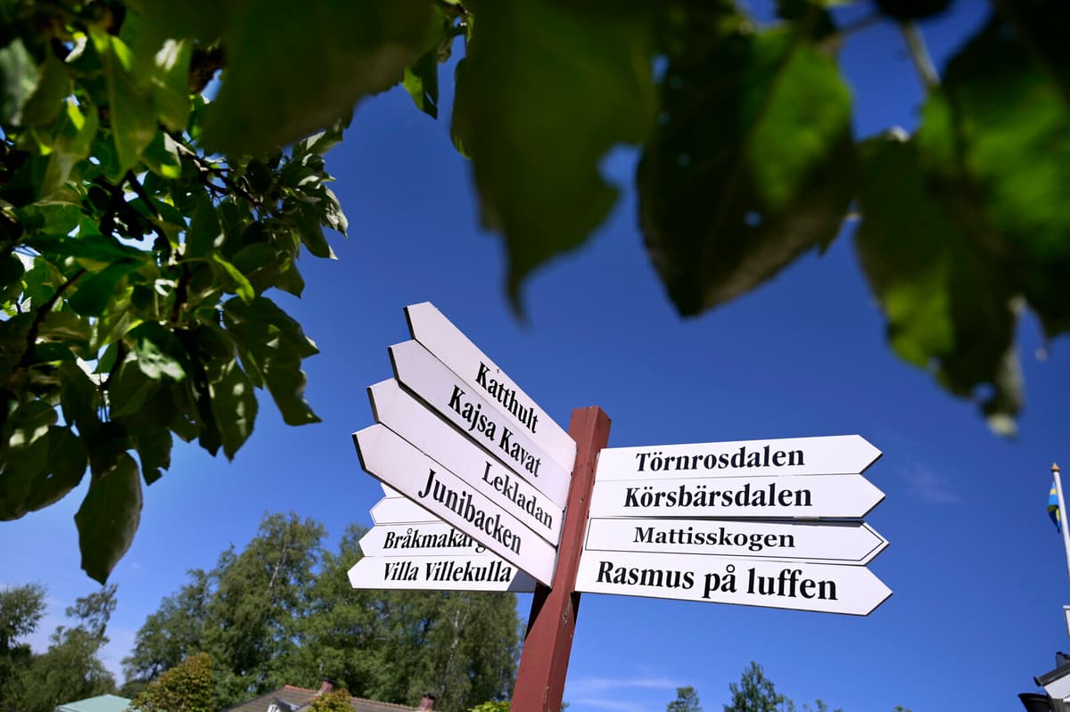 Swedish Theme Park Wins 28 Million Kronor in Pandemic Closure Case