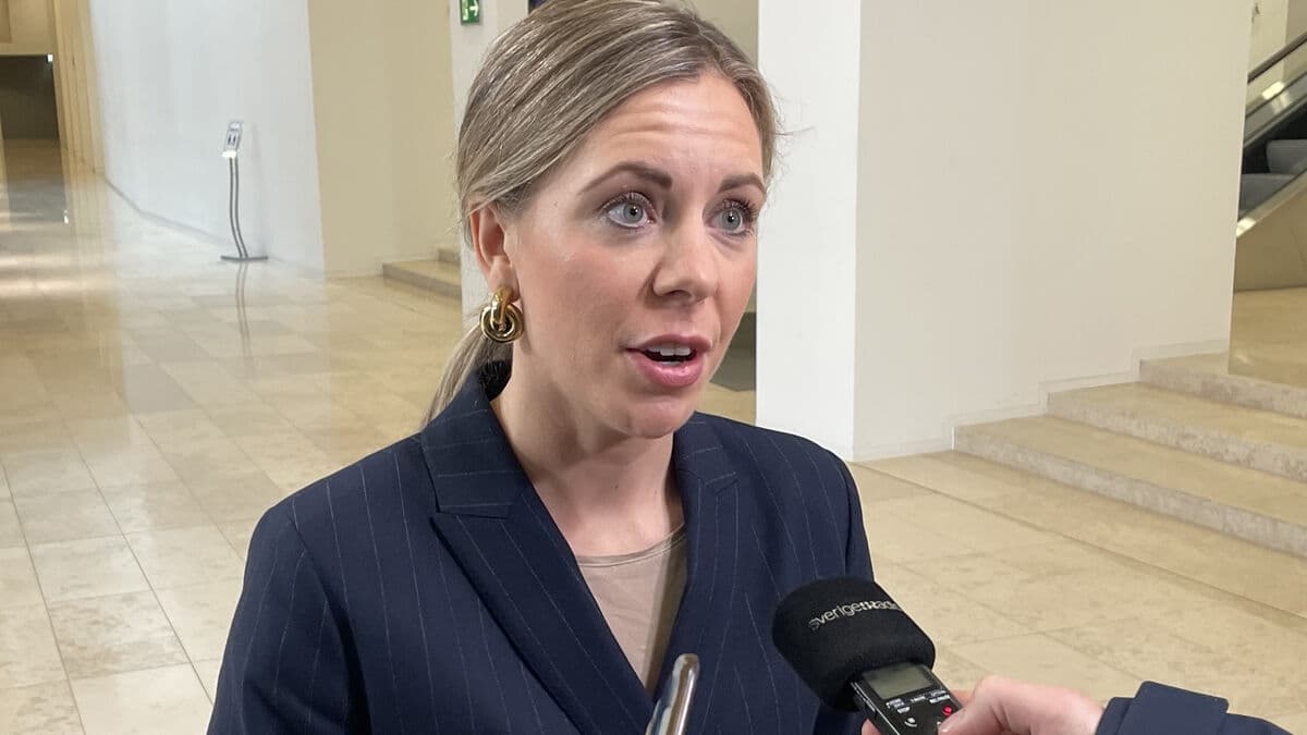 Sweden Seeks Tougher EU Measures Against Hungary Over Rule of Law