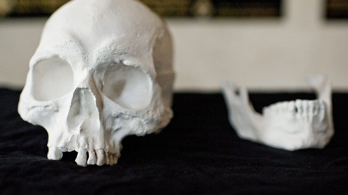 Suspected human skull found in mail at PostNord in Malmö