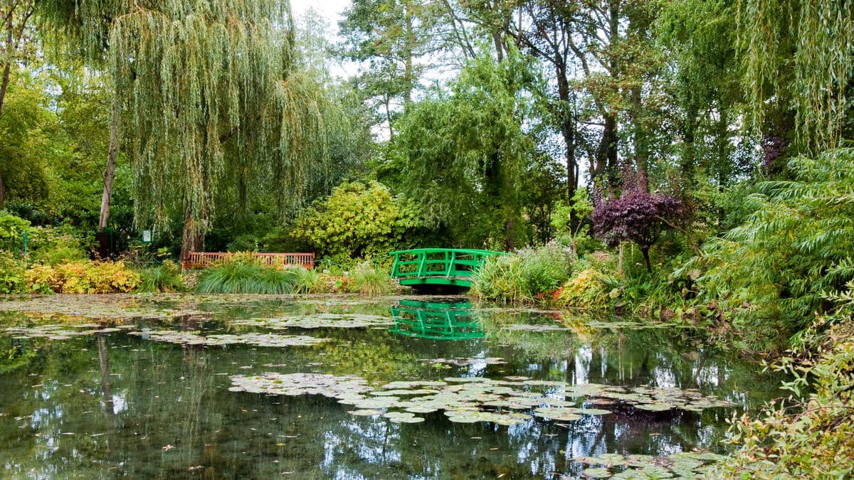 Monet’s famous gravel path dries up in France heatwave