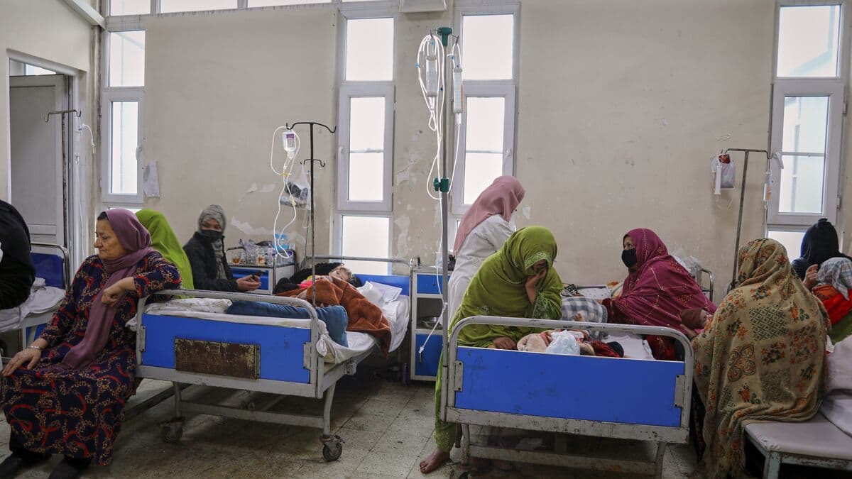 UN warns malnutrition among women and children in Afghanistan has reached critical levels