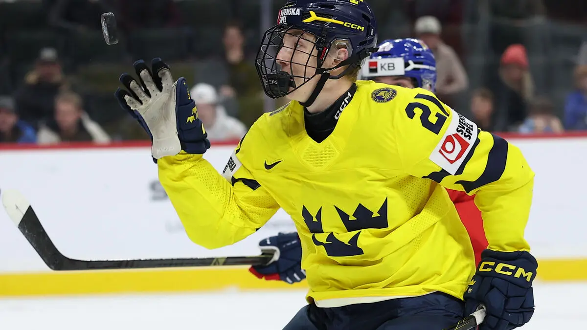 Hockeybasen on the Björck affair says investigate us