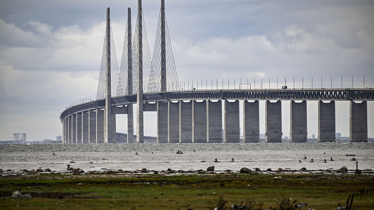 Öresund Bridge reopens in both directions after crash on Swedish side