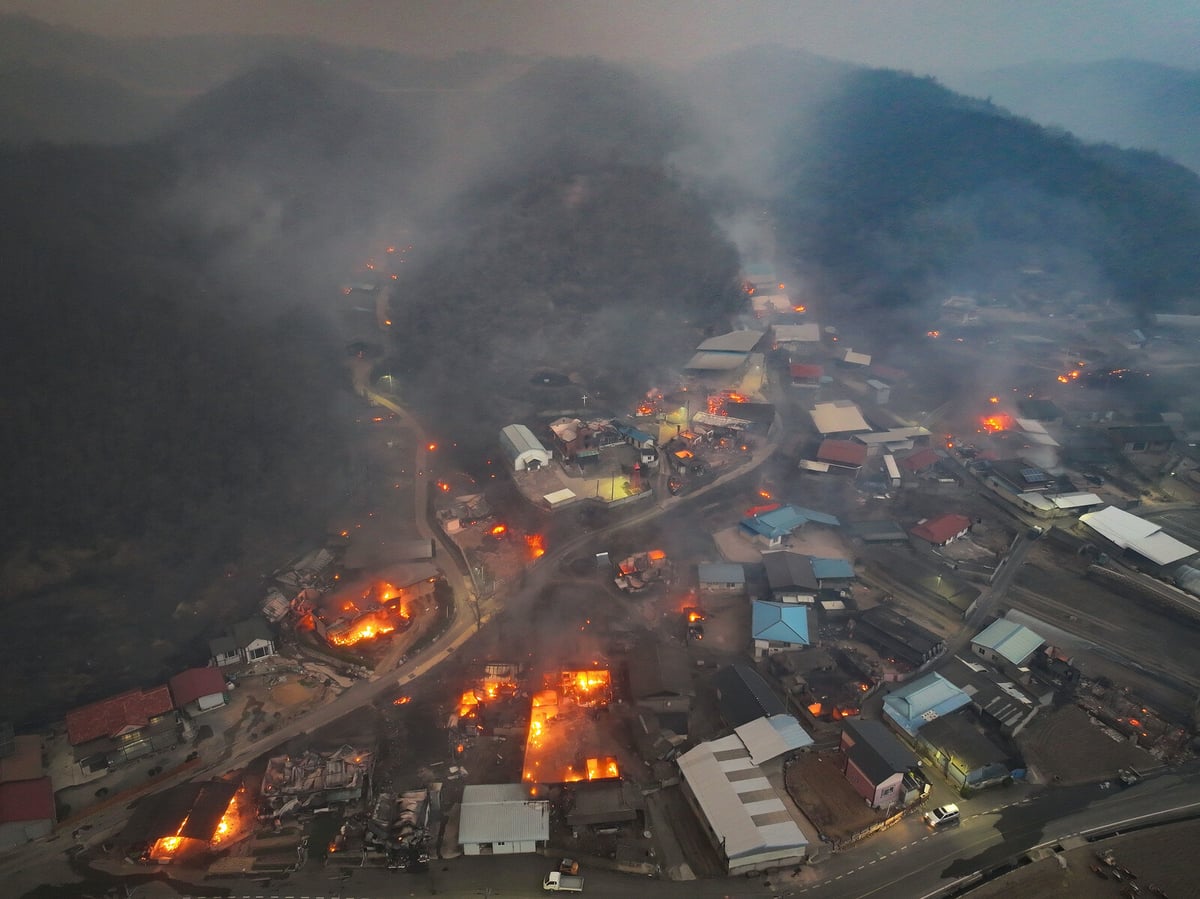 South Korea Battles Historic Wildfires: 24 Dead, Thousands Displaced