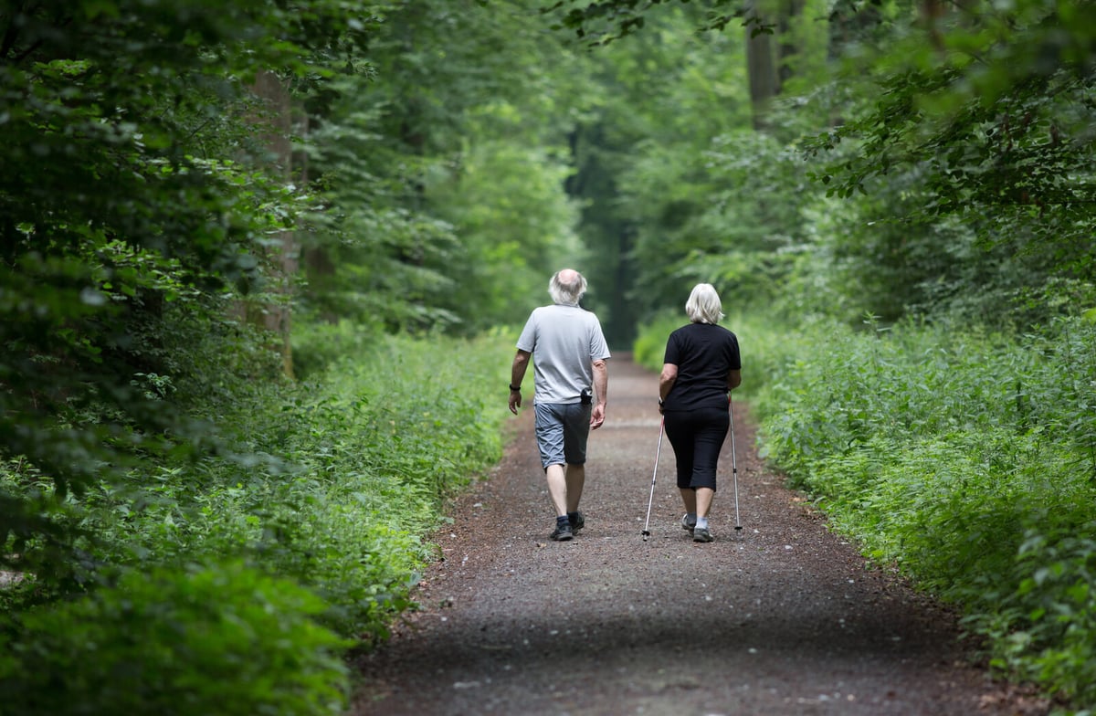 How 60-Year-Olds Boosted Brain Health with Lifestyle Changes