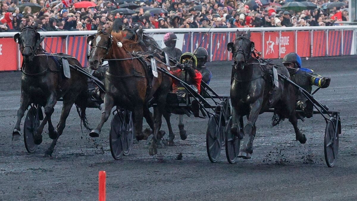 Shocking victory in Prix d'Amérique - Swedish horse on the podium