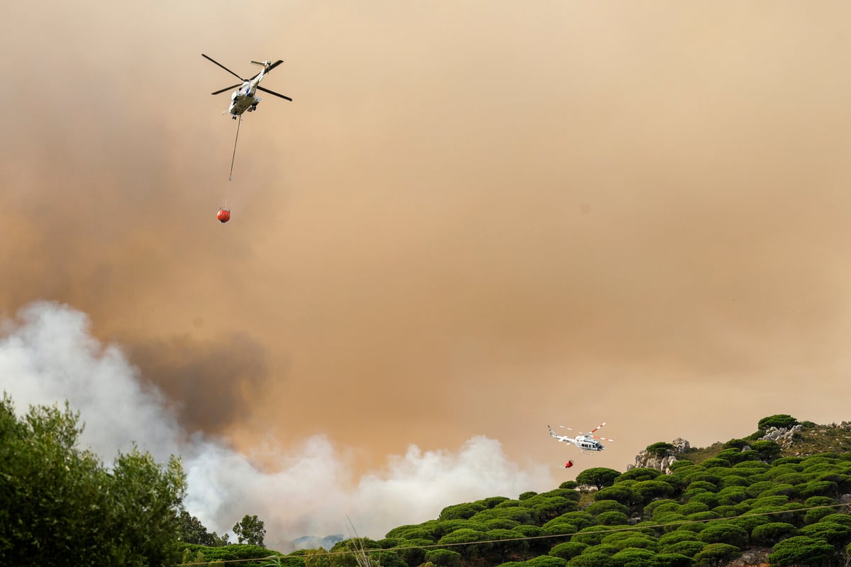 Evacuations Lifted in Tarifa After Forest Fire Stabilized