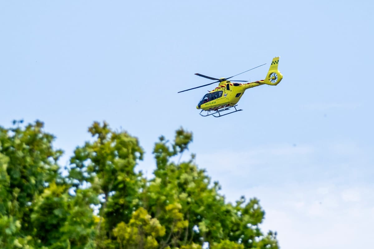 Roskilde Festival Visitor Dies in Drowning Accident