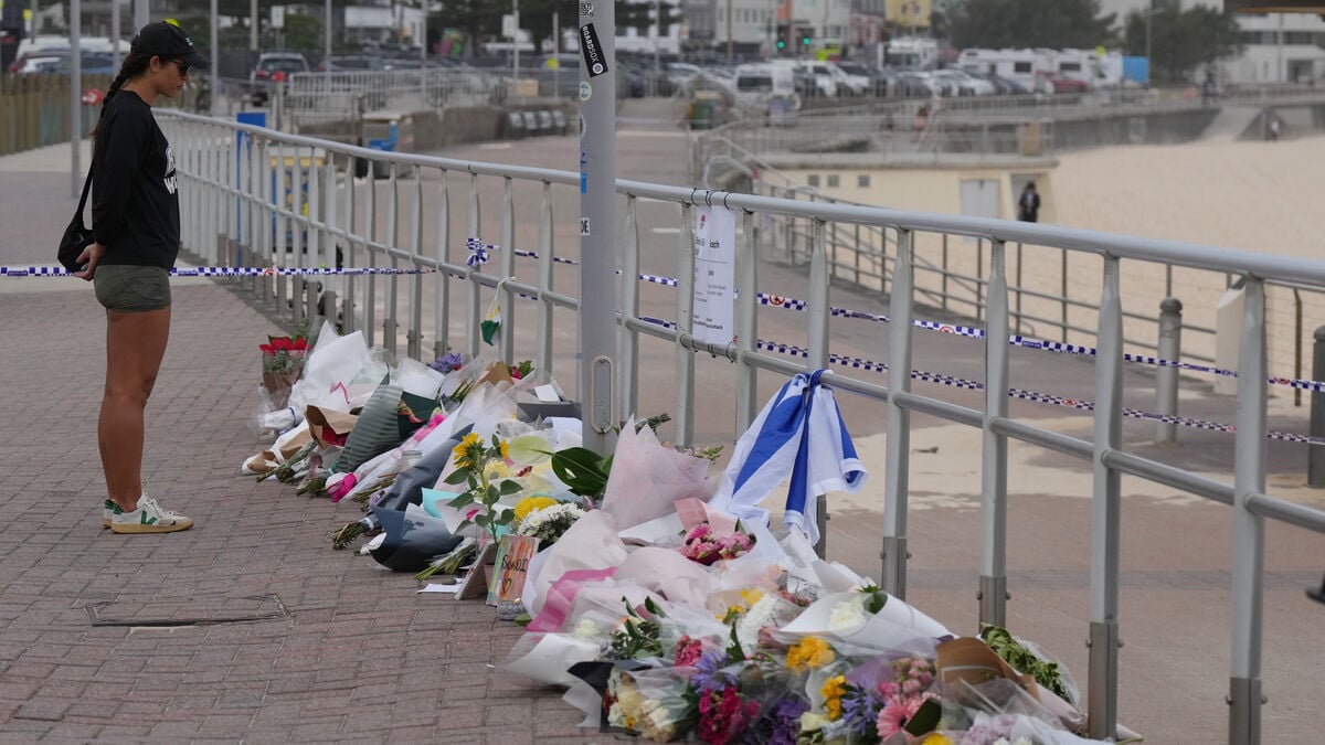 Bondi shooter suspected of 59 crimes